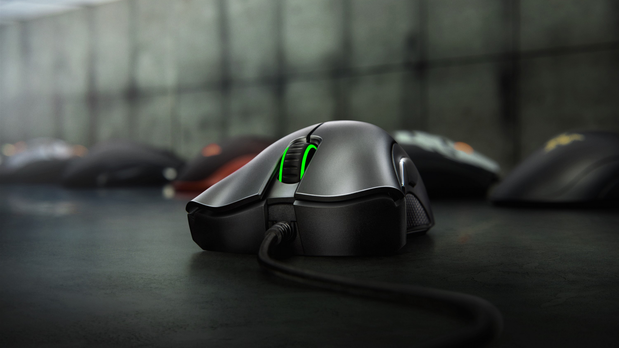 Игровая мышь Razer DeathAdder Essential RZ01-02540100-R3M1 (Black) купить в интернет-магазине icover