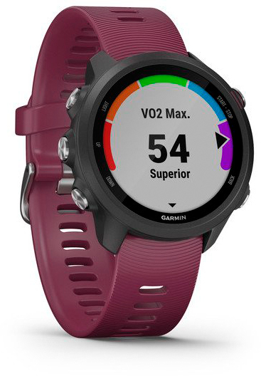 Умные часы Garmin Forerunner 245 GPS 010-02120-11 (Black/Berry) купить в интернет-магазине icover