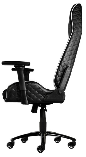 Игровое кресло ThunderX3 TGC40 (Black/White) купить в интернет-магазине icover