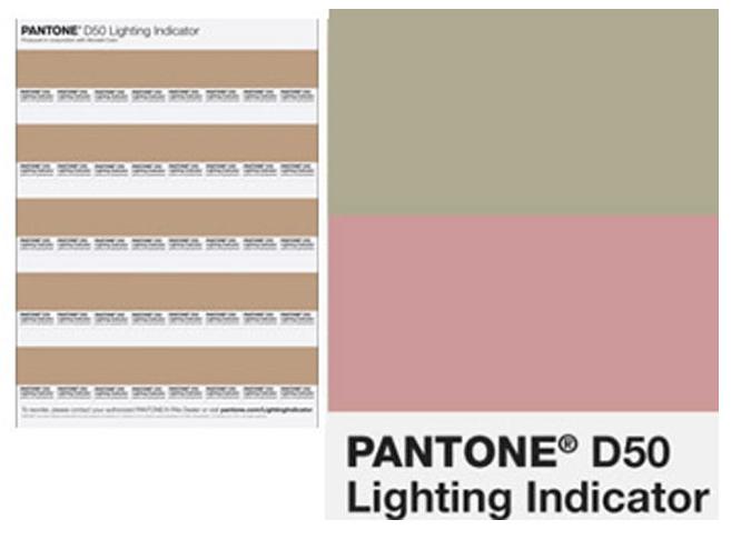 Цветовой справочник Pantone Lighting Indicator Stickers D50 (LNDS-1PK-D50) купить в интернет-магазине icover