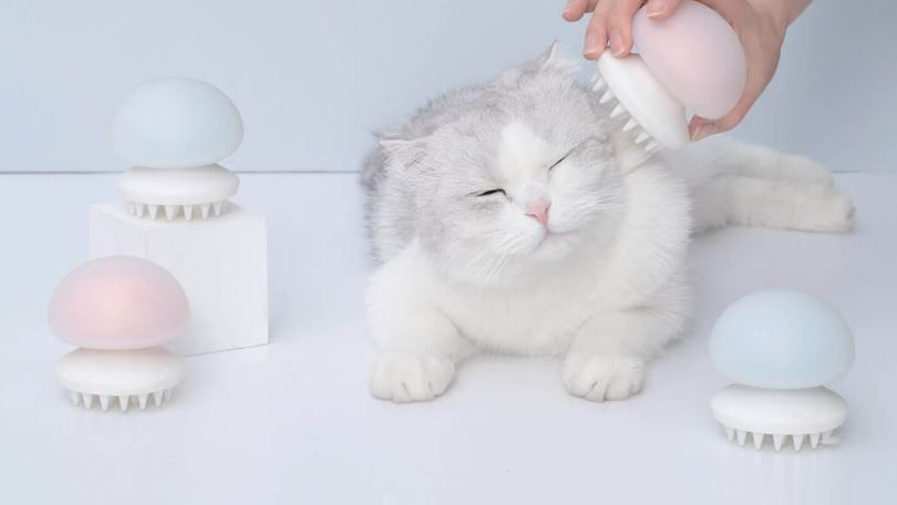 Массажер для кошек Xiaomi JellyFish Pet Massage Comb (Pink) купить в интернет-магазине icover