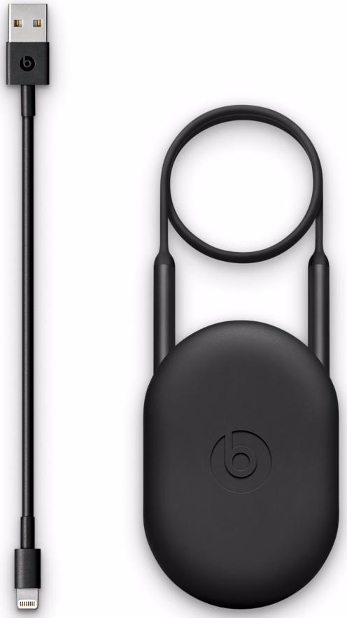 Беспроводные наушники BeatsX MLYE2ZE/A для устройств Apple (Black) купить в интернет-магазине icover