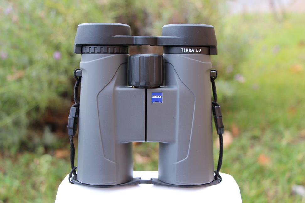 Carl Zeiss Terra ED 8x42 - бинокль (Cool Grey) купить в интернет-магазине icover