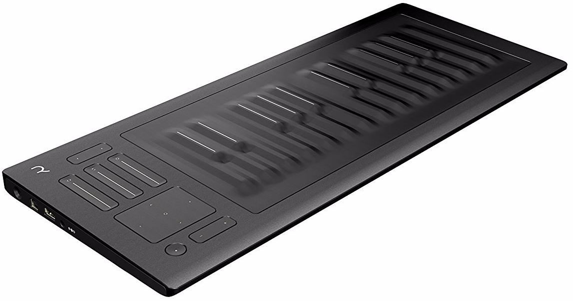 ROLI Seaboard RISE 25 - MIDI-контроллер (Grey) купить в интернет-магазине icover