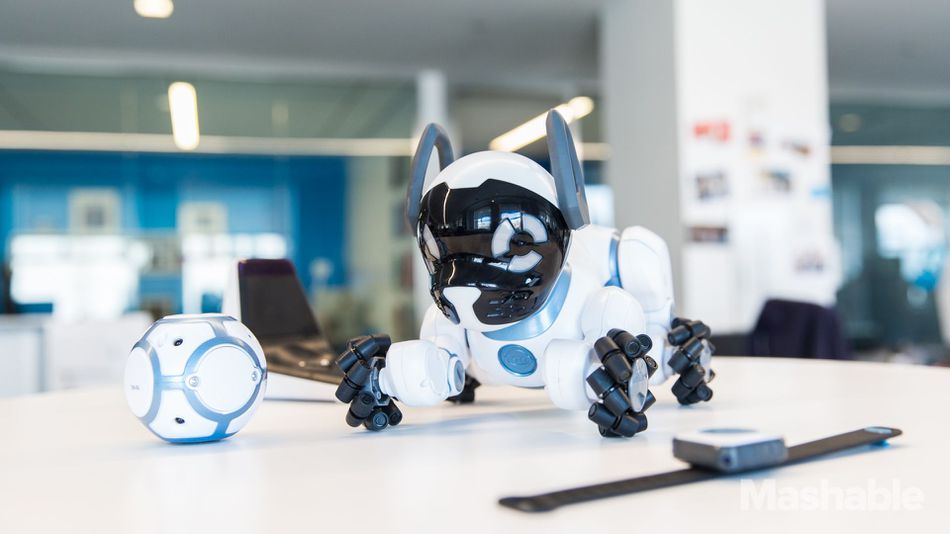 Робот-собака WowWee CHiP (White) купить в интернет-магазине icover