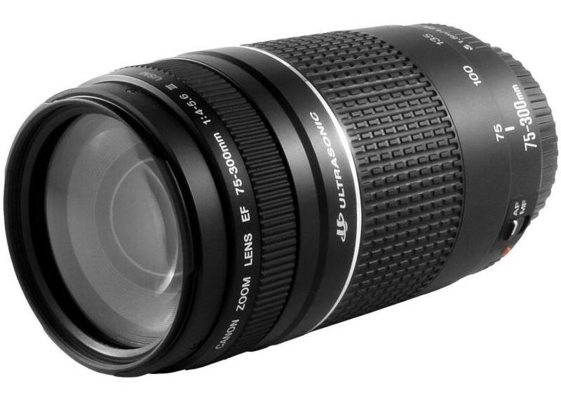 Купить объектив canon ef 75-300mm f/4-5.6 iii usm в Москве. В нашем каталоге интернет-магазина icover.ru вы можете ознакомиться с ценами, подробным описанием, фотографиями и техническими характеристиками. Низкие цены. Высокое качество. Доставка по России. Заказать товары по телефону +7(495)229-39-50 Объектив Canon EF 75-300mm f/4-5.6 III USM купить в интернет-магазине icover