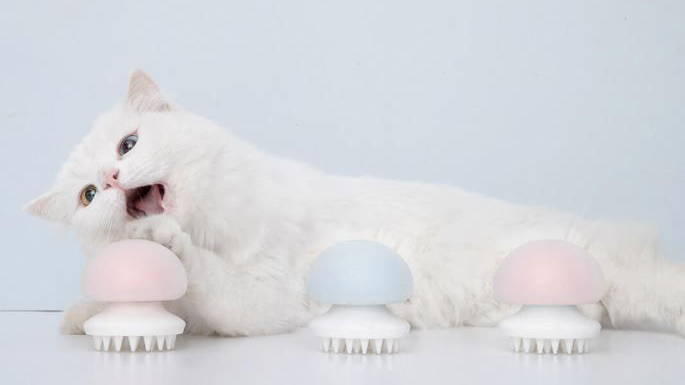 Массажер для кошек Xiaomi JellyFish Pet Massage Comb (Pink) купить в интернет-магазине icover