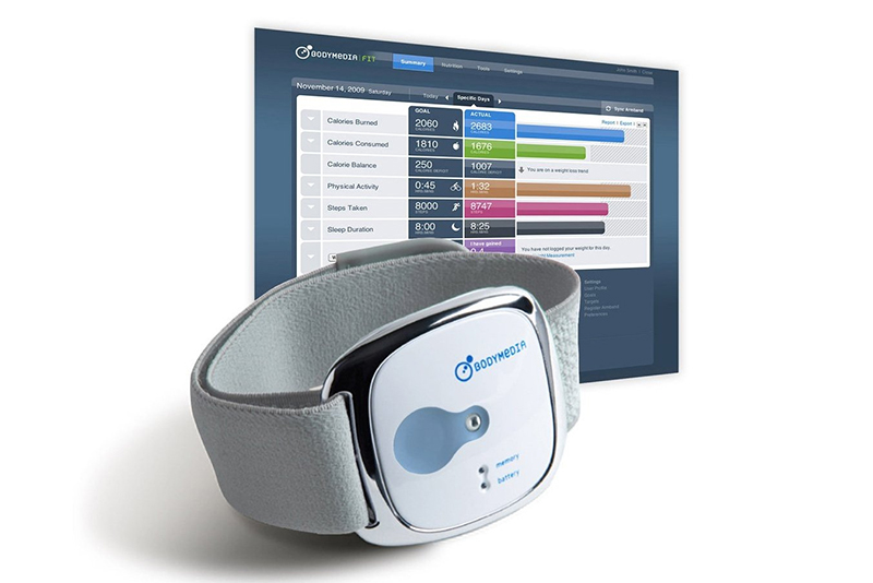 Браслет-корректор веса BodyMedia Fit Аrmband купить в интернет-магазине icover