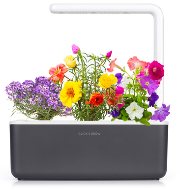 Умный сад Click & Grow Smart Garden 3 Цветы (Graphite) купить в интернет-магазине icover