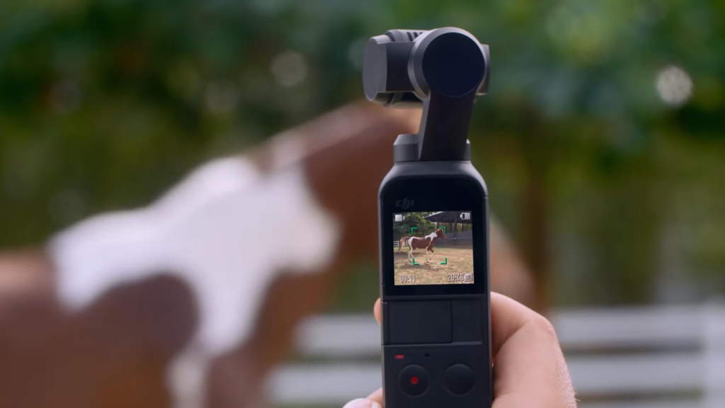 Dji osmo pocket 3 примеры фото Купить стедикам DJI Osmo Pocket в Москве в каталоге аксессуаров для камер GoPro 