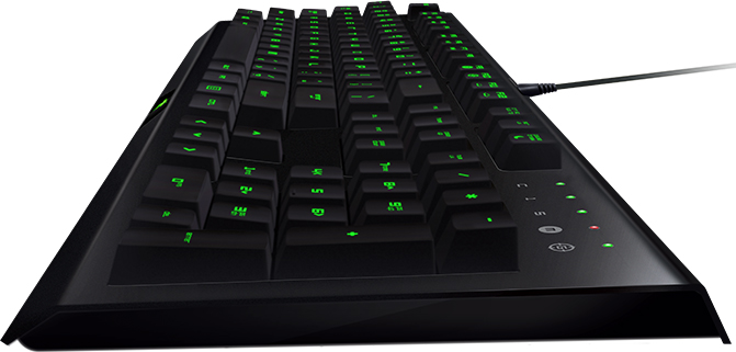 Игровая клавиатура Razer Cynosa Pro RZ03-01470200-R3R1 (Black) купить в интернет-магазине icover