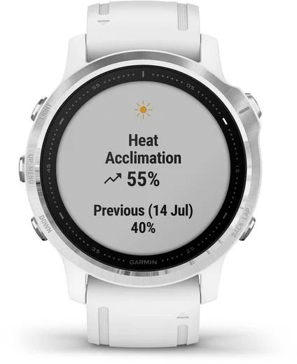 Спортивные часы Garmin Fenix 6S 010-02159-00 (Silver/White) купить в интернет-магазине icover