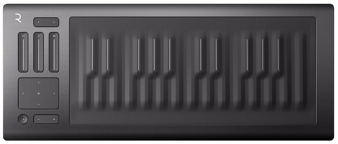 ROLI Seaboard RISE 25 - MIDI-контроллер (Grey) купить в интернет-магазине icover