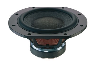 Встраиваемый сабвуфер Bowers & Wilkins CT8 SW купить в интернет-магазине icover
