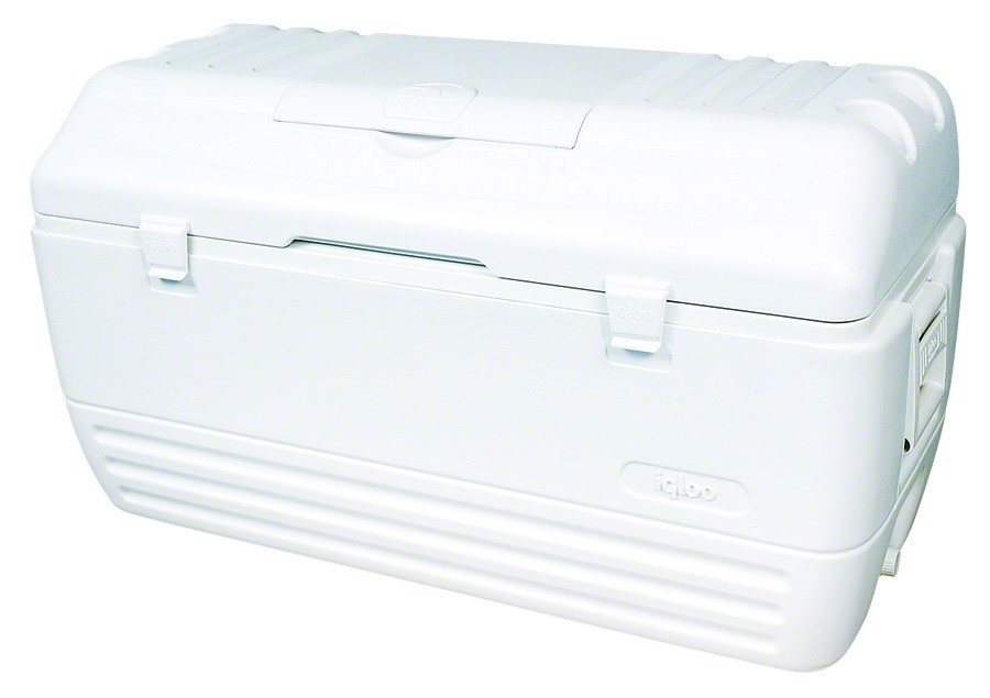 Изотермический контейнер Igloo MaxCold 165 44419 (White) купить в интернет-магазине icover