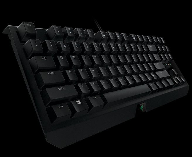 Игровая клавиатура Razer BlackWidow X Tournament RZ03-01770400-R3R1 (Black) купить в интернет-магазине icover