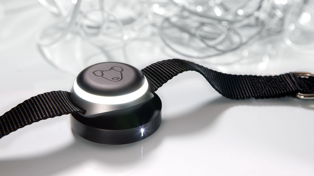 GPS-трекер для собак Mishiko М102 1 месяц (Black) купить в интернет-магазине icover