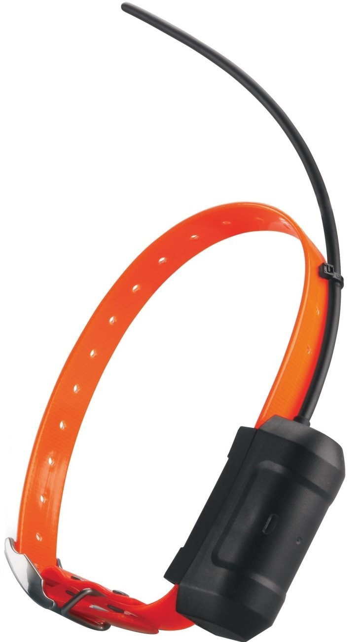 Garmin dc50 sales tracking collar