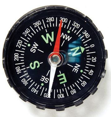 Телескоп Levenhuk Strike 100 PLUS (65615) купить в интернет-магазине icover