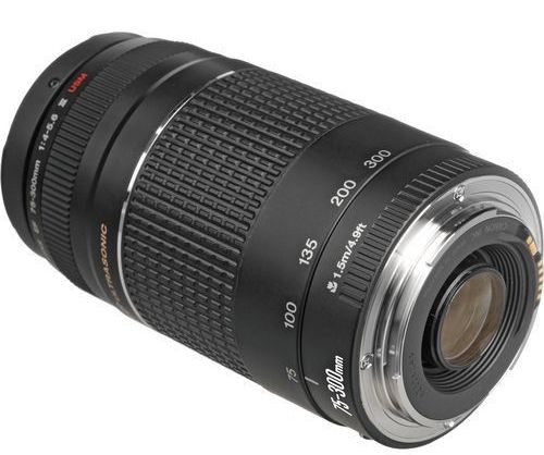 Купить объектив canon ef 75-300mm f/4-5.6 iii usm в Москве. В нашем каталоге интернет-магазина icover.ru вы можете ознакомиться с ценами, подробным описанием, фотографиями и техническими характеристиками. Низкие цены. Высокое качество. Доставка по России. Заказать товары по телефону +7(495)229-39-50 Объектив Canon EF 75-300mm f/4-5.6 III USM купить в интернет-магазине icover