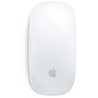 Apple Magic Mouse (MB829ZM/A) беспроводная мышь  купить в интернет-магазине icover