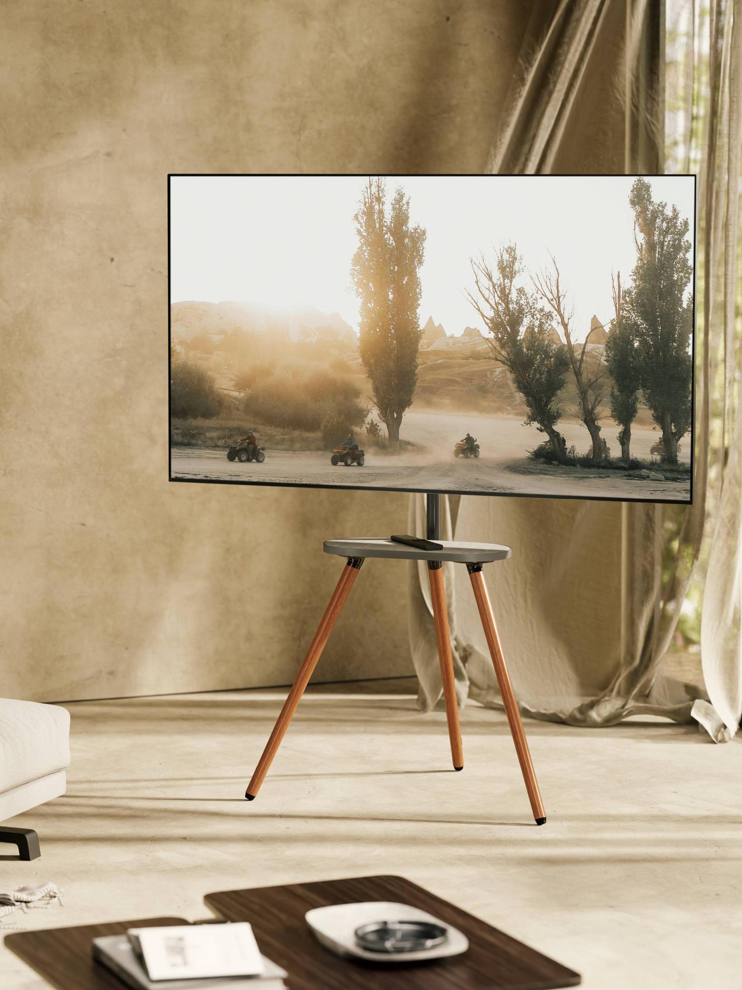 Стойка для телевизора с кронштейном Ridberg FS28-44F-04 (Black) купить в интернет-магазине icover