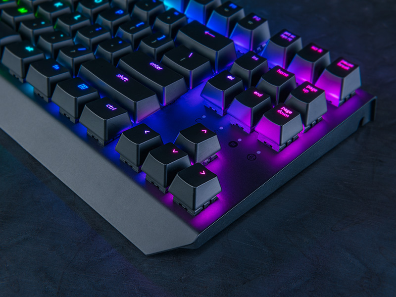 Игровая клавиатура Razer BlackWidow X Tournament Chroma RZ03-01770100-R3M1 (Black) купить в интернет-магазине icover