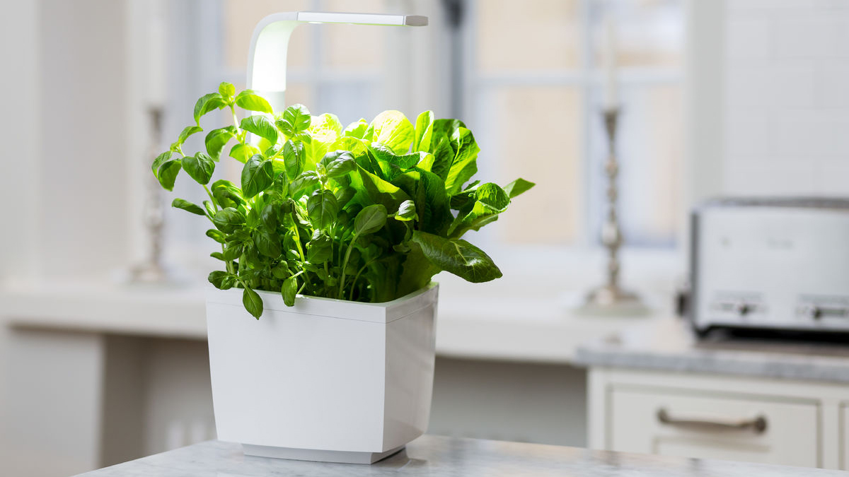Умный сад Tregren T3 Kitchen Garden (White) купить в интернет-магазине icover