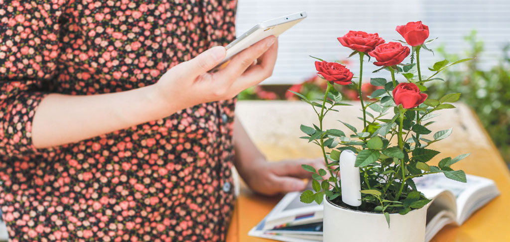 Xiaomi Mi Flower Monitor - датчик для растений купить в интернет-магазине icover