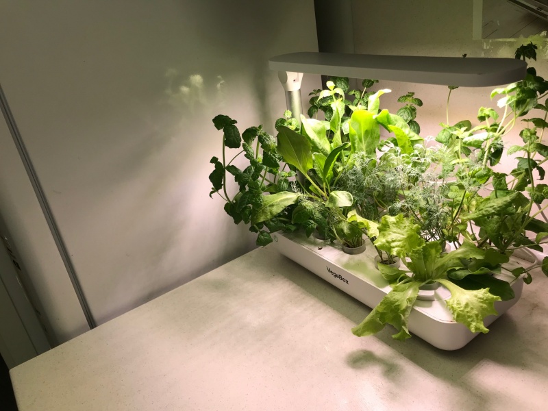 Домашняя ферма VegeBox T-Box (White) купить в интернет-магазине icover