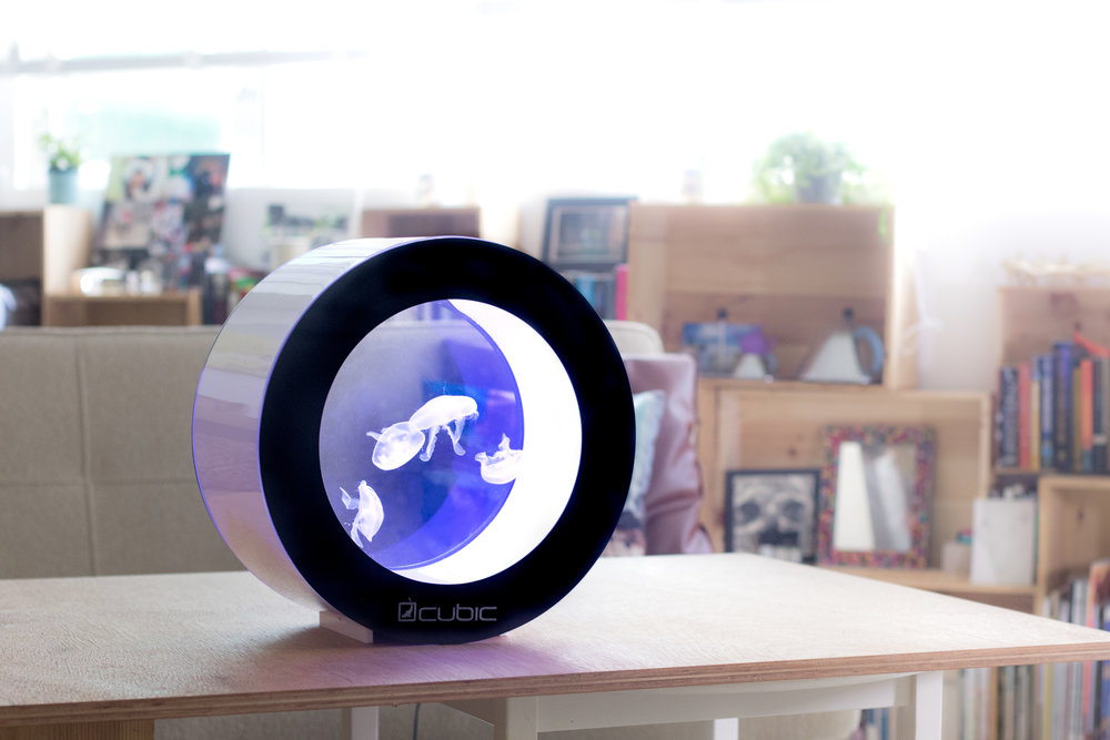 Аквариум для медуз Cubic Aquarium Systems Orbit 20 (Black) купить в интернет-магазине icover