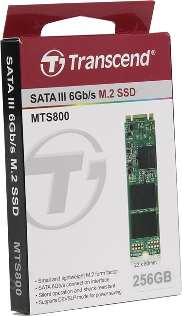 Transcend MTS800 256 Gb (TS256GMTS800) - SSD-накопитель купить в интернет-магазине icover