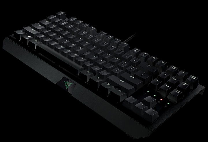 Игровая клавиатура Razer BlackWidow X Tournament RZ03-01770400-R3R1 (Black) купить в интернет-магазине icover