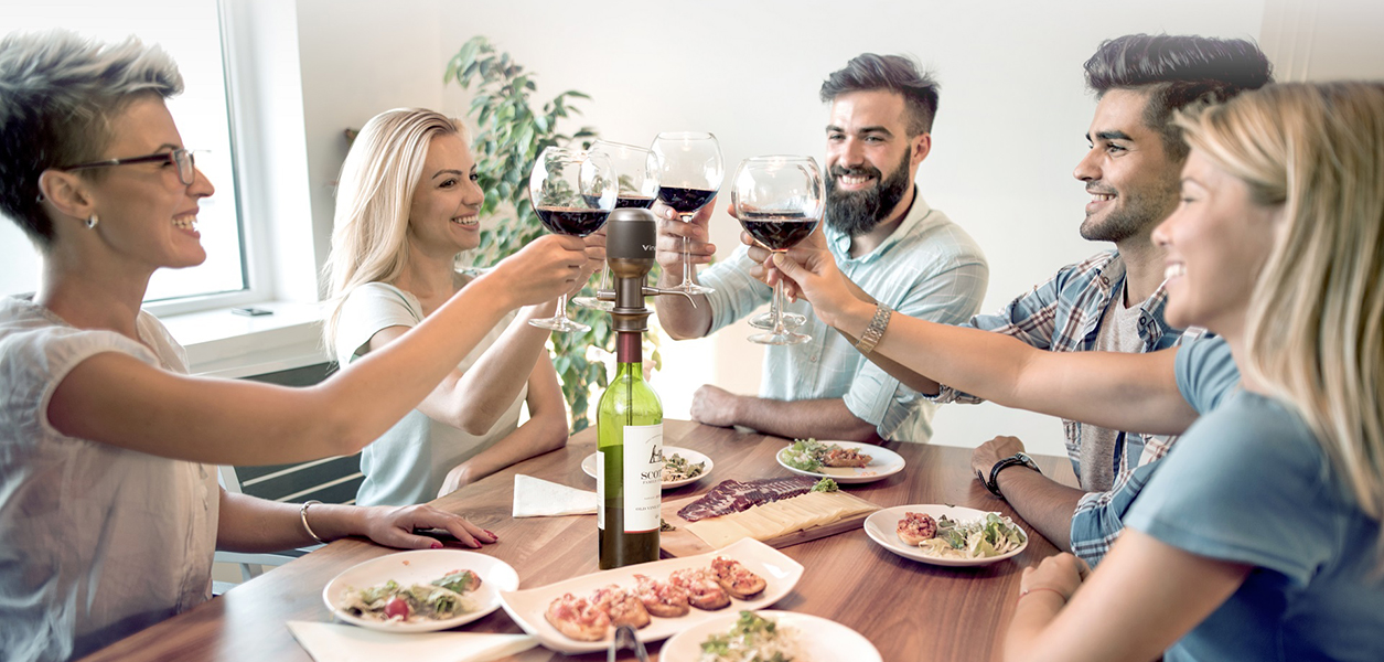 Аэратор для вина Vinaera Pro Adjustable Electric Wine Aerator MV7 (Grey) купить в интернет-магазине icover
