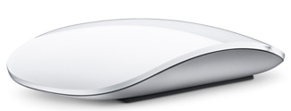 Apple Magic Mouse (MB829ZM/A) беспроводная мышь  купить в интернет-магазине icover