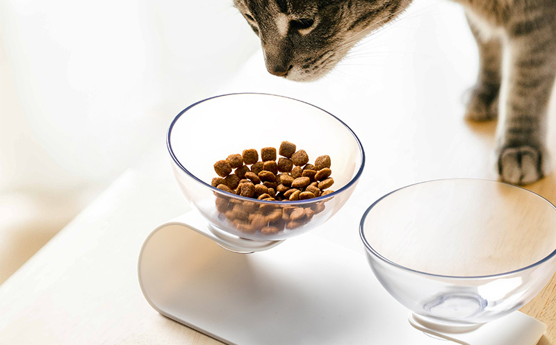    Jordan & Judy Pet Feeding Double-Bowl (PE001)   - icover