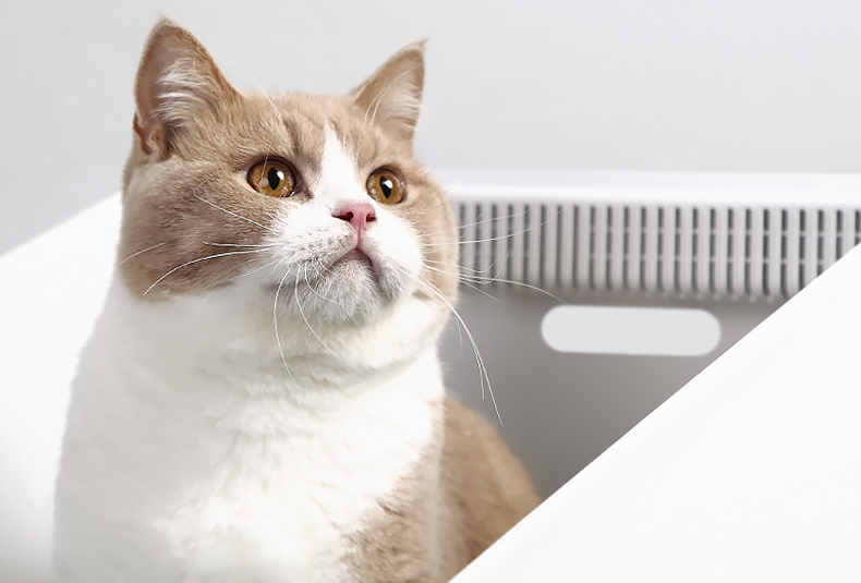 Лоток для кошек Petkit Pura Cat (White) купить в интернет-магазине icover