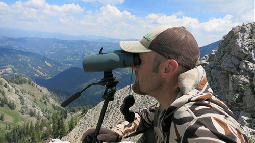 Swarovski Optik SLC 15x56 Neu El  (78059)  - бинокль (Green) купить в интернет-магазине icover