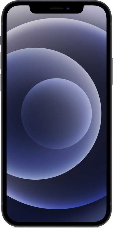 Смартфон Apple iPhone 12 64Gb MGJ53RU/A (Black) купить в интернет-магазине icover