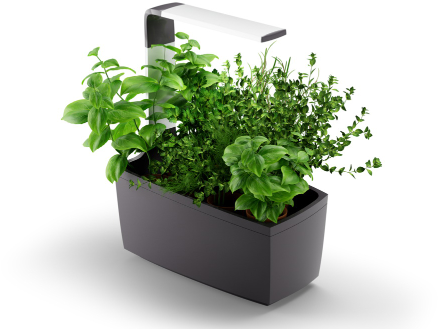 Умный сад Tregren T6 Kitchen Garden (Grey) купить в интернет-магазине icover