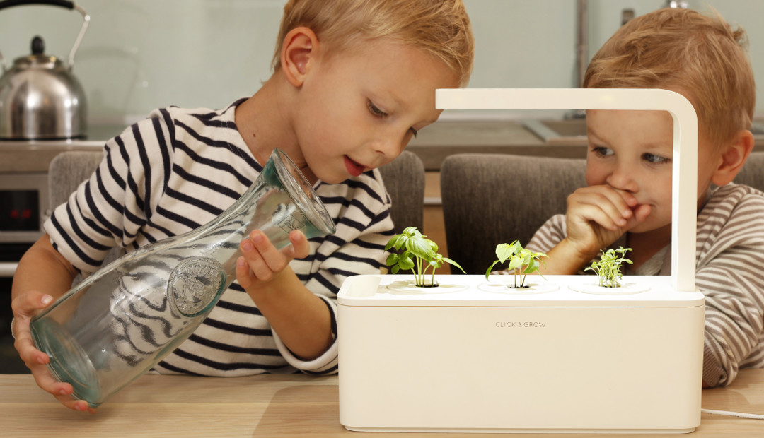 Умный сад Click & Grow Smart Garden 3 Томат, перец, базилик (Graphite) купить в интернет-магазине icover
