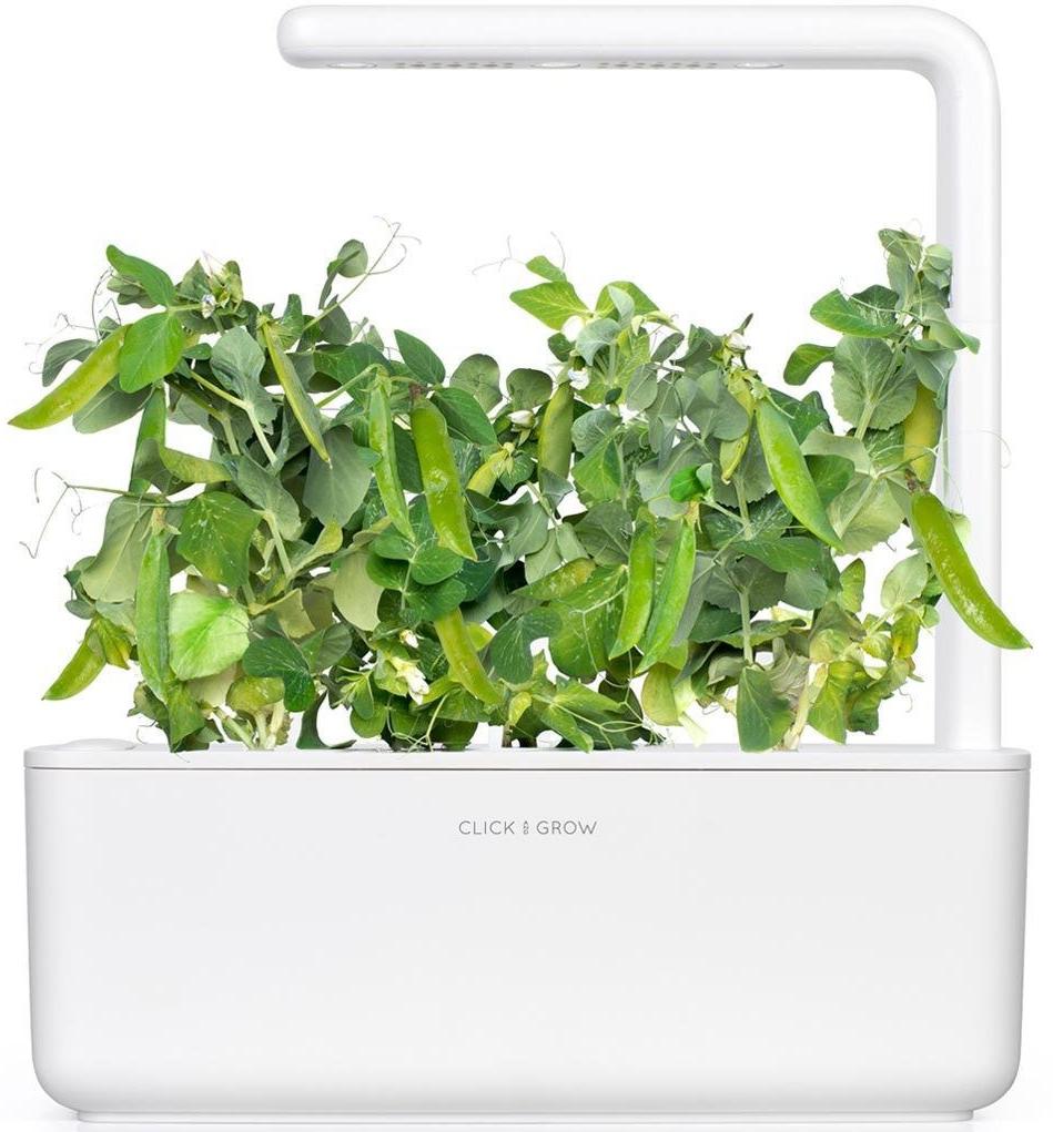 Комплект картриджей Click & Grow Карликовый Горох 3 Pack (Green) купить в интернет-магазине icover