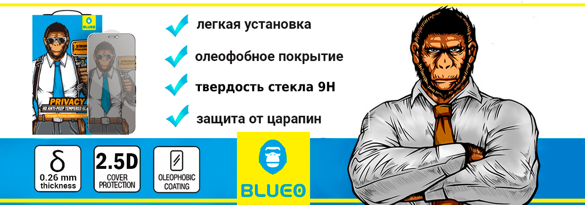 Защитное стекло Blueo 2.5D Silk Full Cover Anti-Peep (NPB14-5.4) для iPhone 12 mini (Black) купить в интернет-магазине icover