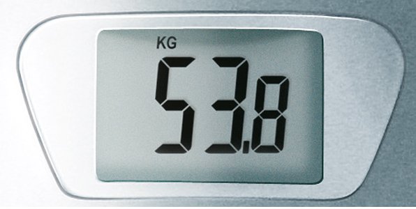 Bosch PPW 2250 - напольные весы (Silver) купить в интернет-магазине icover