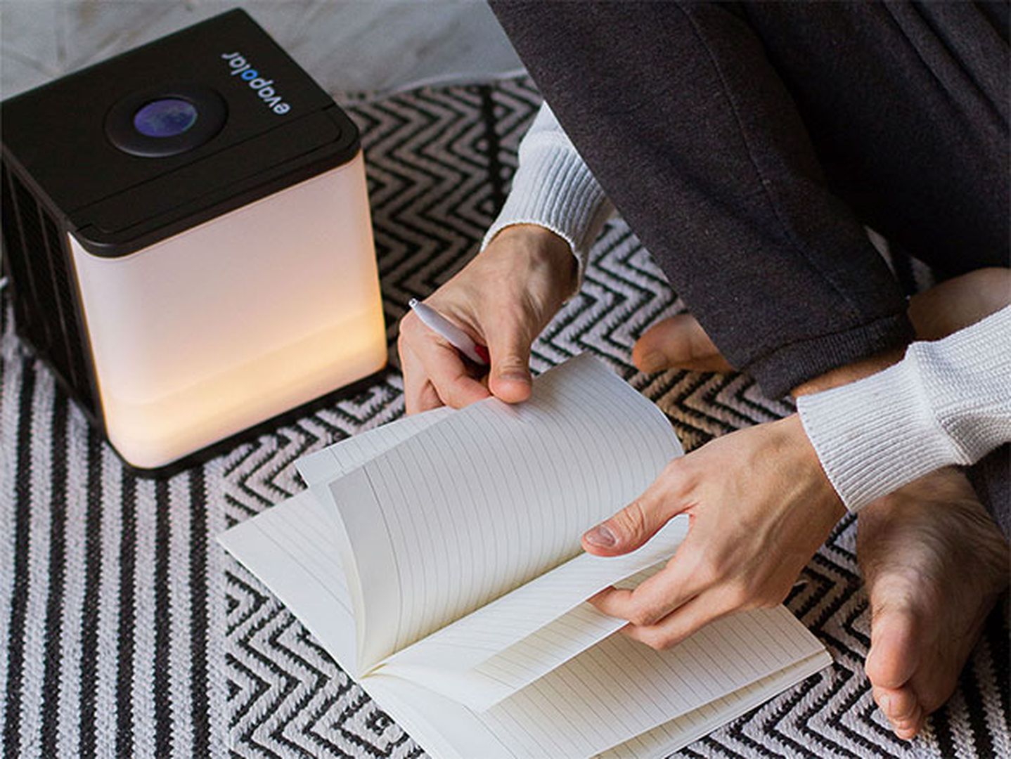 Персональный испарительный кондиционер Evapolar EvaLight EV-1000 (Black) купить в интернет-магазине icover