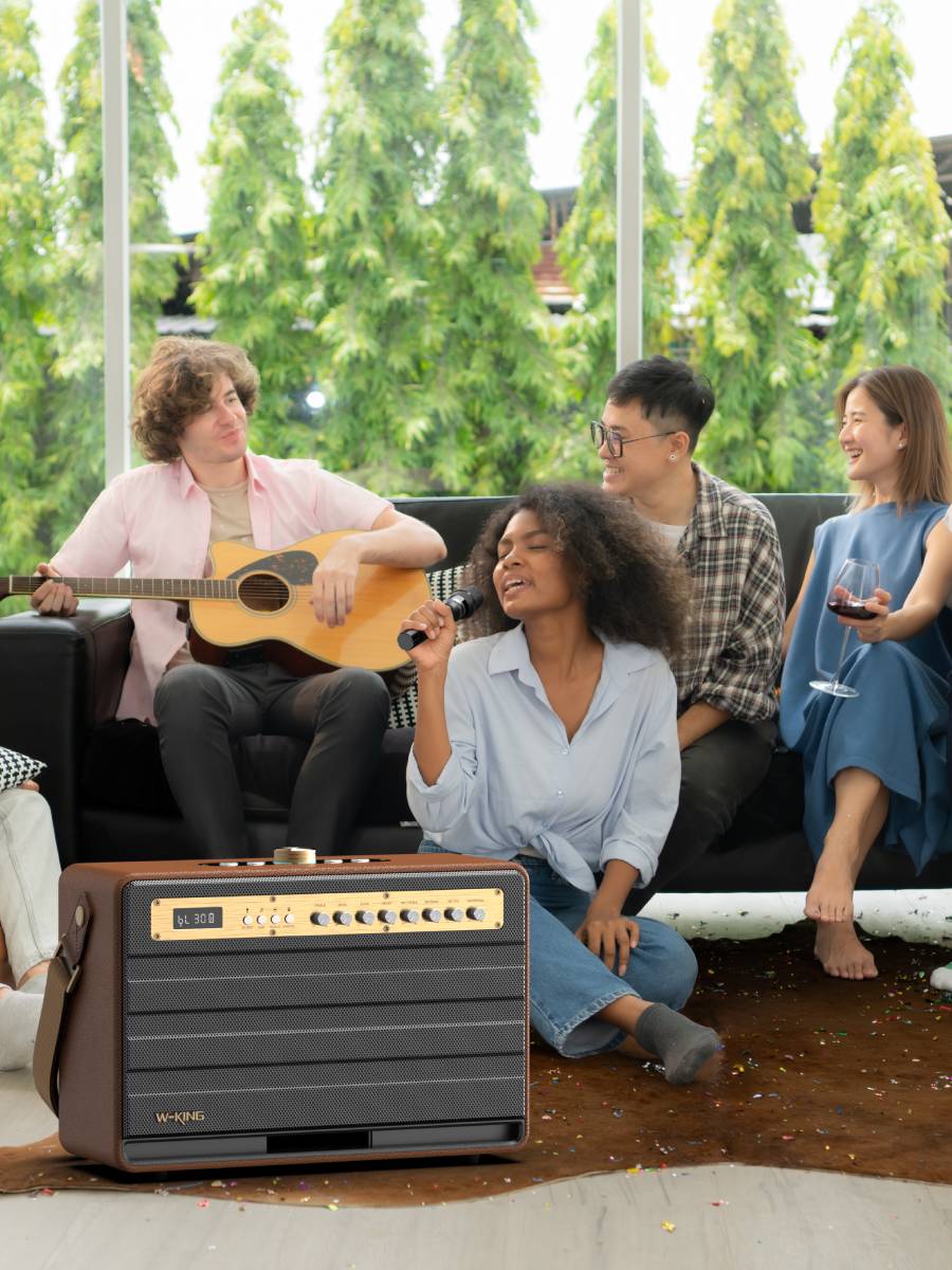 Караоке-система W-KING K6L (Black) купить в интернет-магазине icover