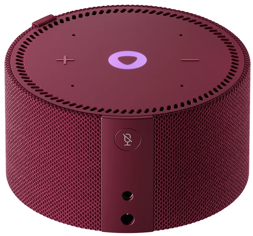 Умная колонка Яндекс.Новая Станция Мини с часами YNDX-00020 (Red) купить в интернет-магазине icover