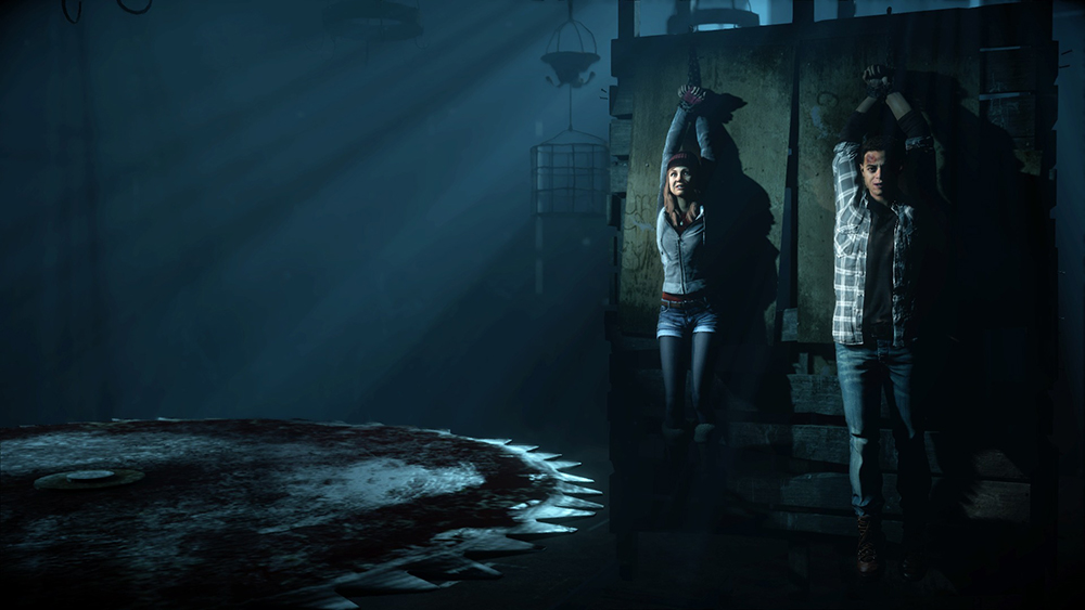 Дожить до рассвета. Extended Edition - видеоигра для PS4 (Русская версия) купить в интернет-магазине icover