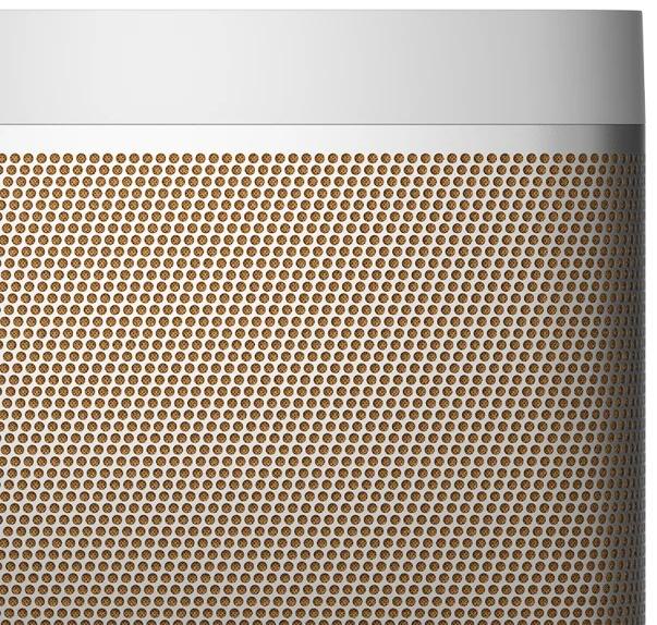 Беспроводная акустика Bang & Olufsen Beolit 20 1253303 (Grey Mist) купить в интернет-магазине icover