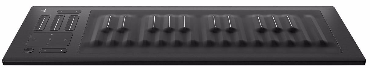 ROLI Seaboard RISE 25 - MIDI-контроллер (Grey) купить в интернет-магазине icover